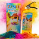 Holi Gulal Cylinder 2KG by Camel – Premium, Skin-Friendly & Herbal Holi Colour for Safe Celebrations