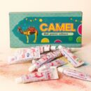 Makeup Paste Colour Box by Camel | Premium Holi Colour Paste for Festivals & Celebrations | Skin-Safe, Long-Lasting & Vibrant Festive Colour | Herbal & Non-Toxic Formula  ||Pack of 10